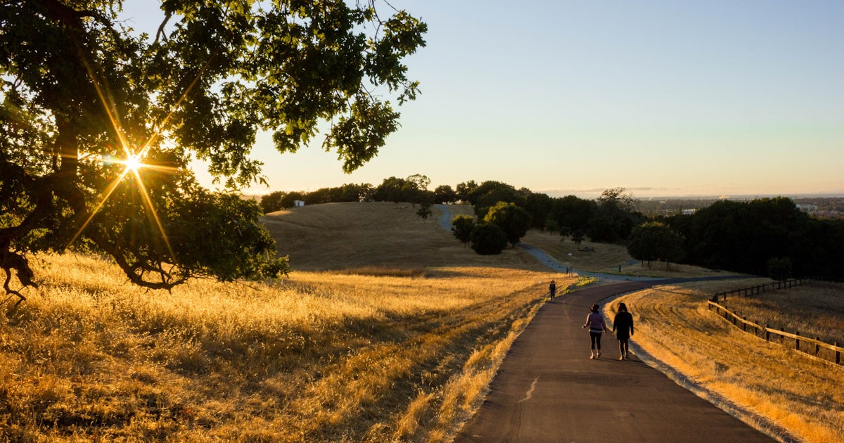 Palo Alto Baylands Nature Preserve with wetlands and wildlife